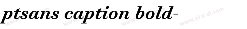 ptsans caption bold字体转换